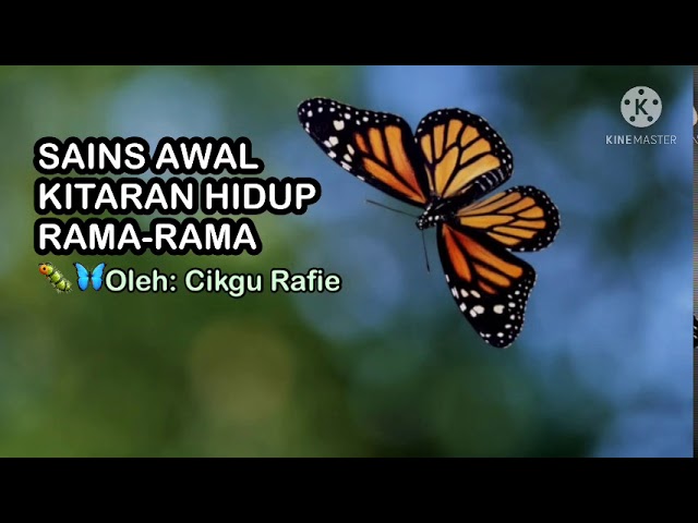 Lagu Kitaran Hidup Rama-Rama - Rhoma irama (tasikmalaya, 11 desember