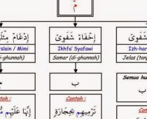 Hukum Tajwid Mim Mati