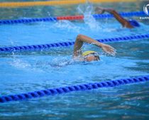 Palarong Pambansa 2017 Swimming Results