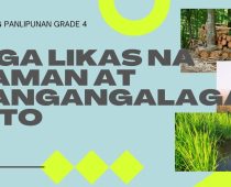 Likas Na Yaman Slogan