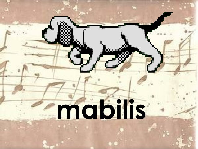 Mabilis At Mabagal Na Hayop - Brazil Network