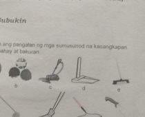 Paglilinis Ng Bakuran