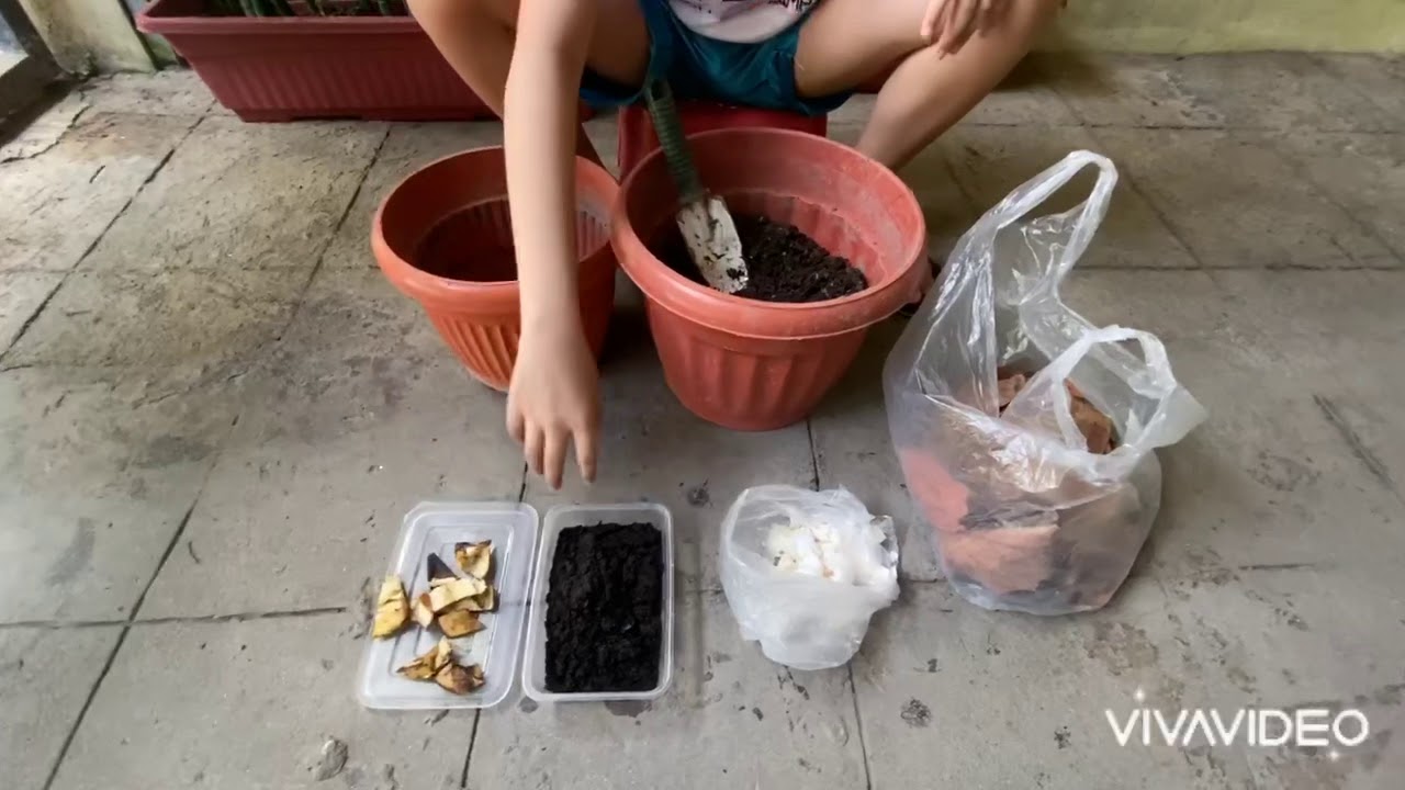 Paggawa ng Compost Pit (school project) - YouTube